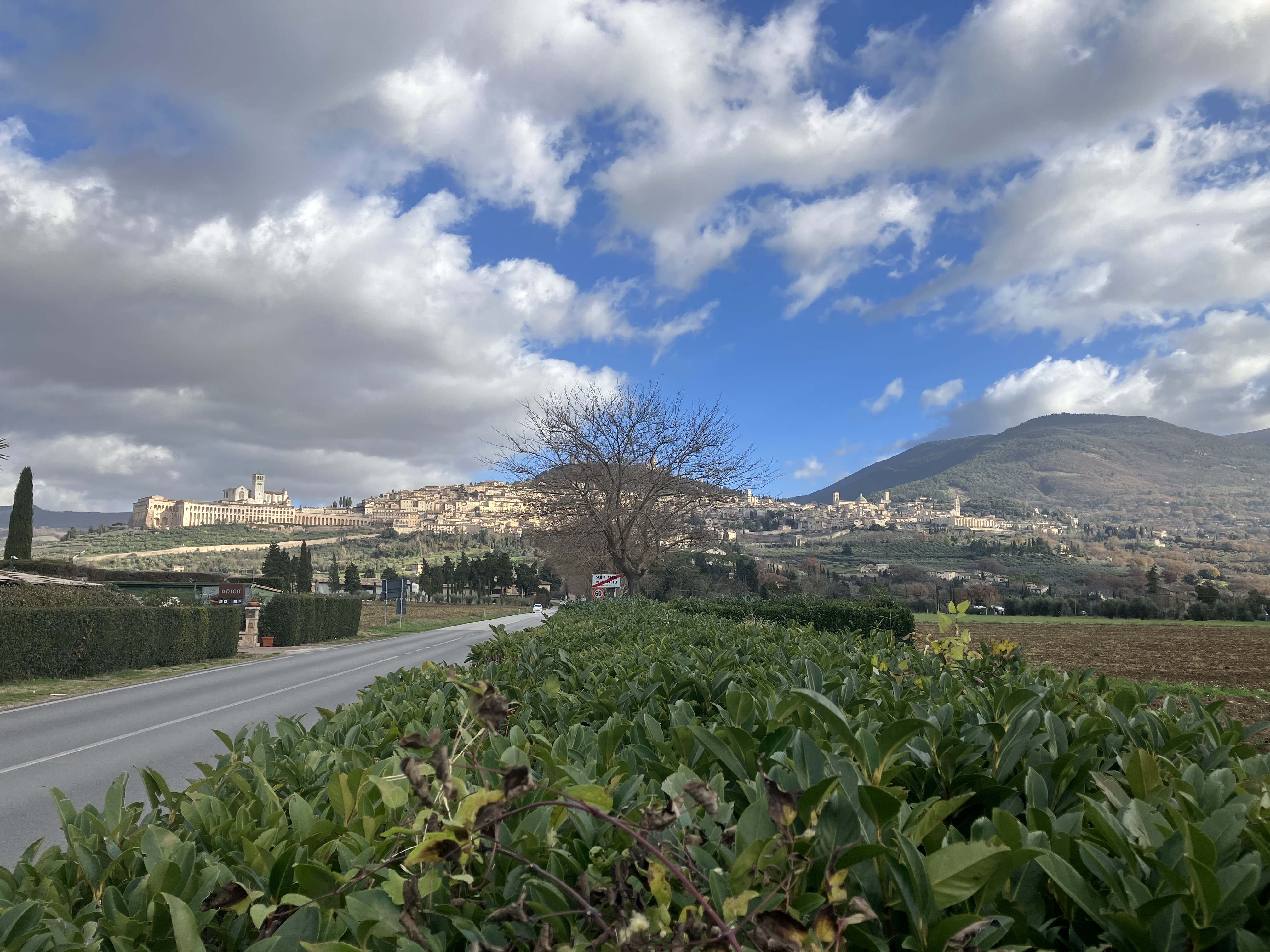 My favourite town in Italy — Assisi