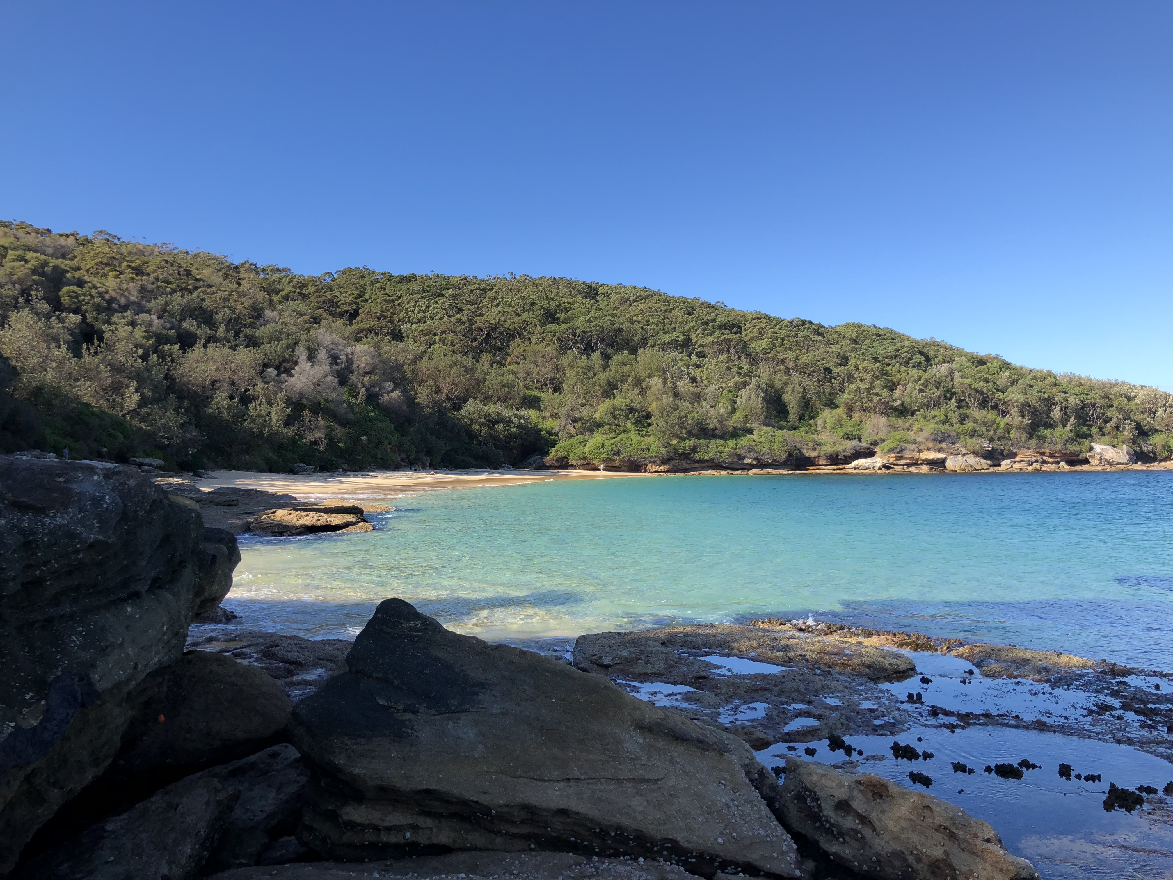 View of Little Congwong Beach, La Perouse in Kamay Botany Bay National Park