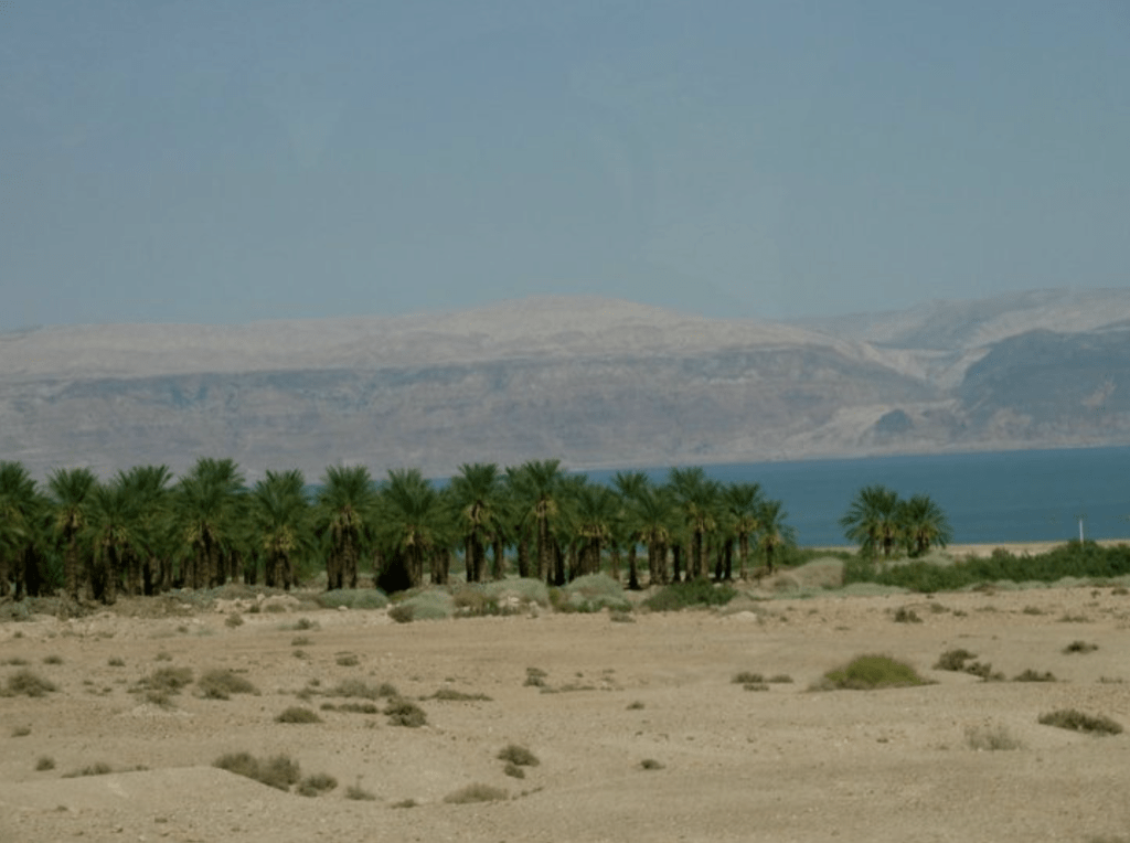 Shopping in Israel – the lowest point on&nbsp;Earth