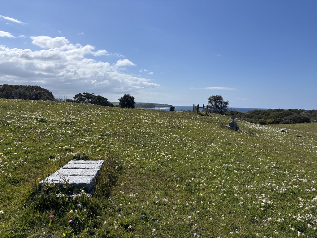 Dharawal Resting Place: Bringing Aboriginal ancestors home to Country