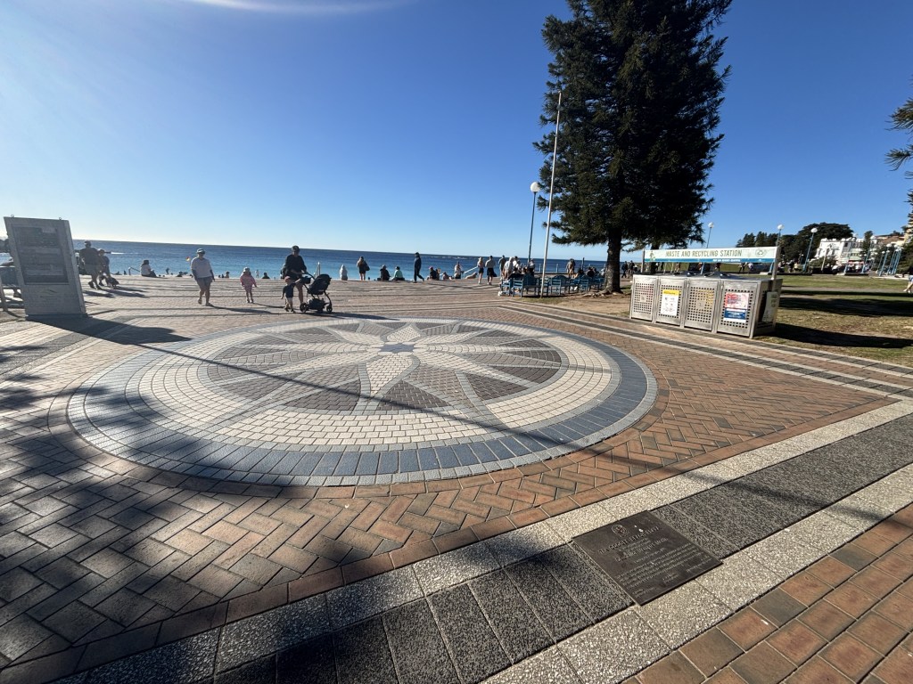 The flannel flower at the heart of&nbsp;Coogee