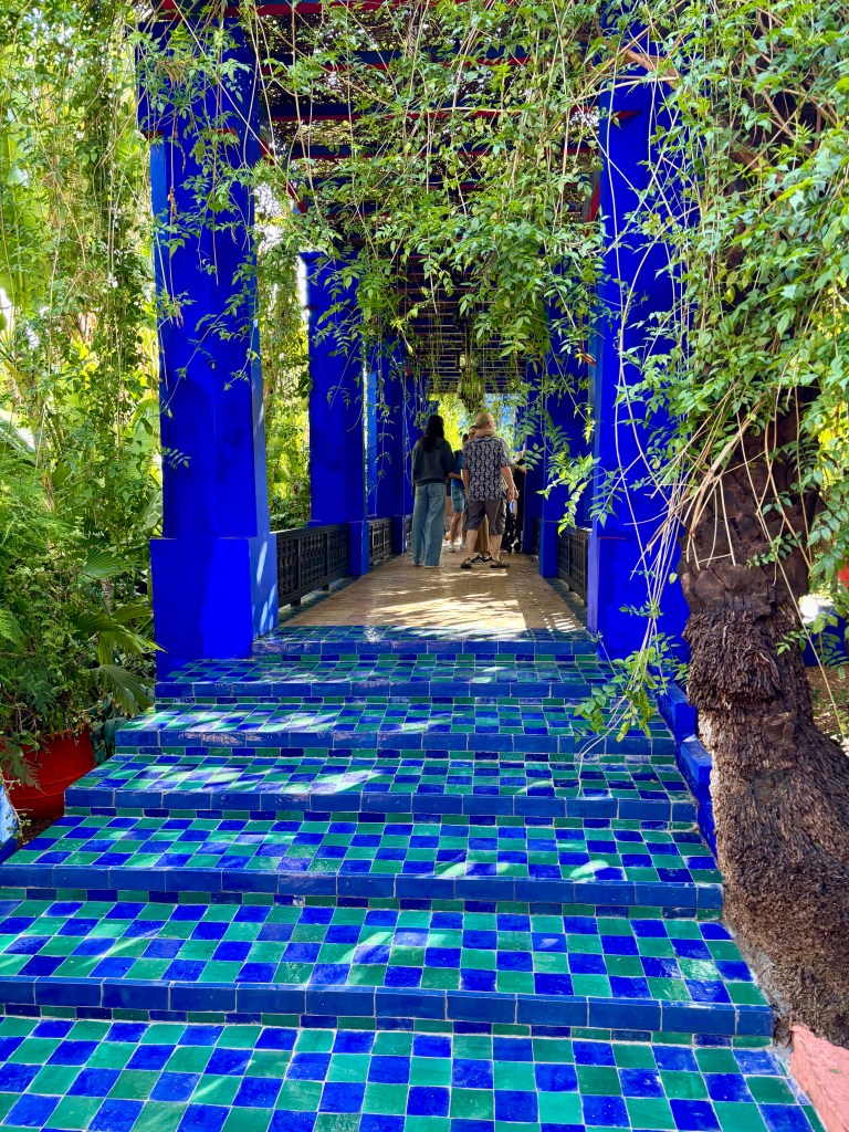 Cacti photographed in the Jardin Majorelle, Marrakech