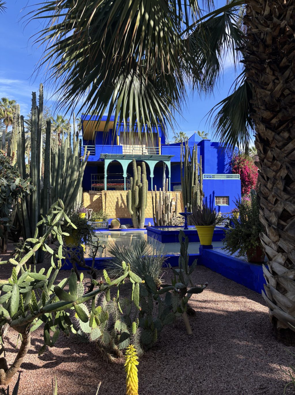 Majorelle Gardens, Marrakech